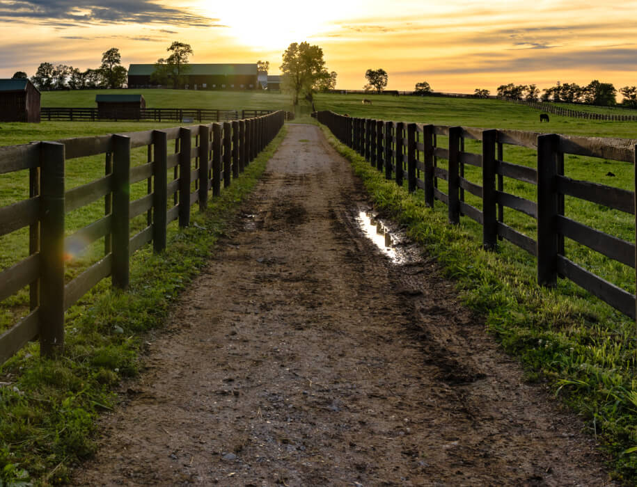 A long dirt road flanked by a wooden fence